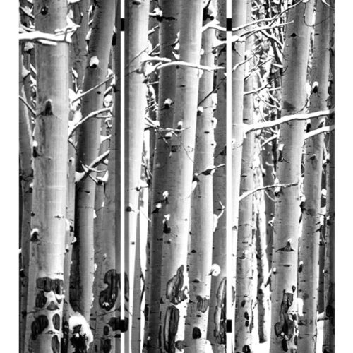 1″ X 48″ X 72″ Multi Color Wood Canvas Birch  Screen