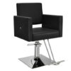 Salon Chair for Hair Stylist with Adjustable Swivel Hydraulic-Black